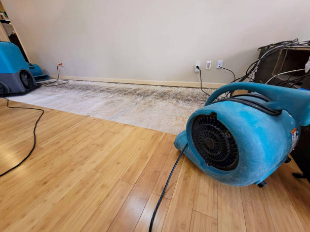 Professional Basement Flood Cleanup technician working in Hughson, CA